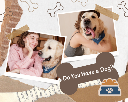 How to Enjoy Peaceful Quiet with an Ultrasonic Anti-Barking Device
